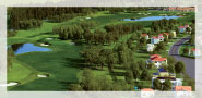Green Land. Town & Country