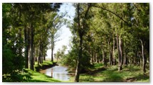 Naturaleza