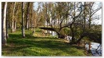 Naturaleza