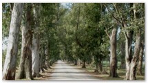 Naturaleza